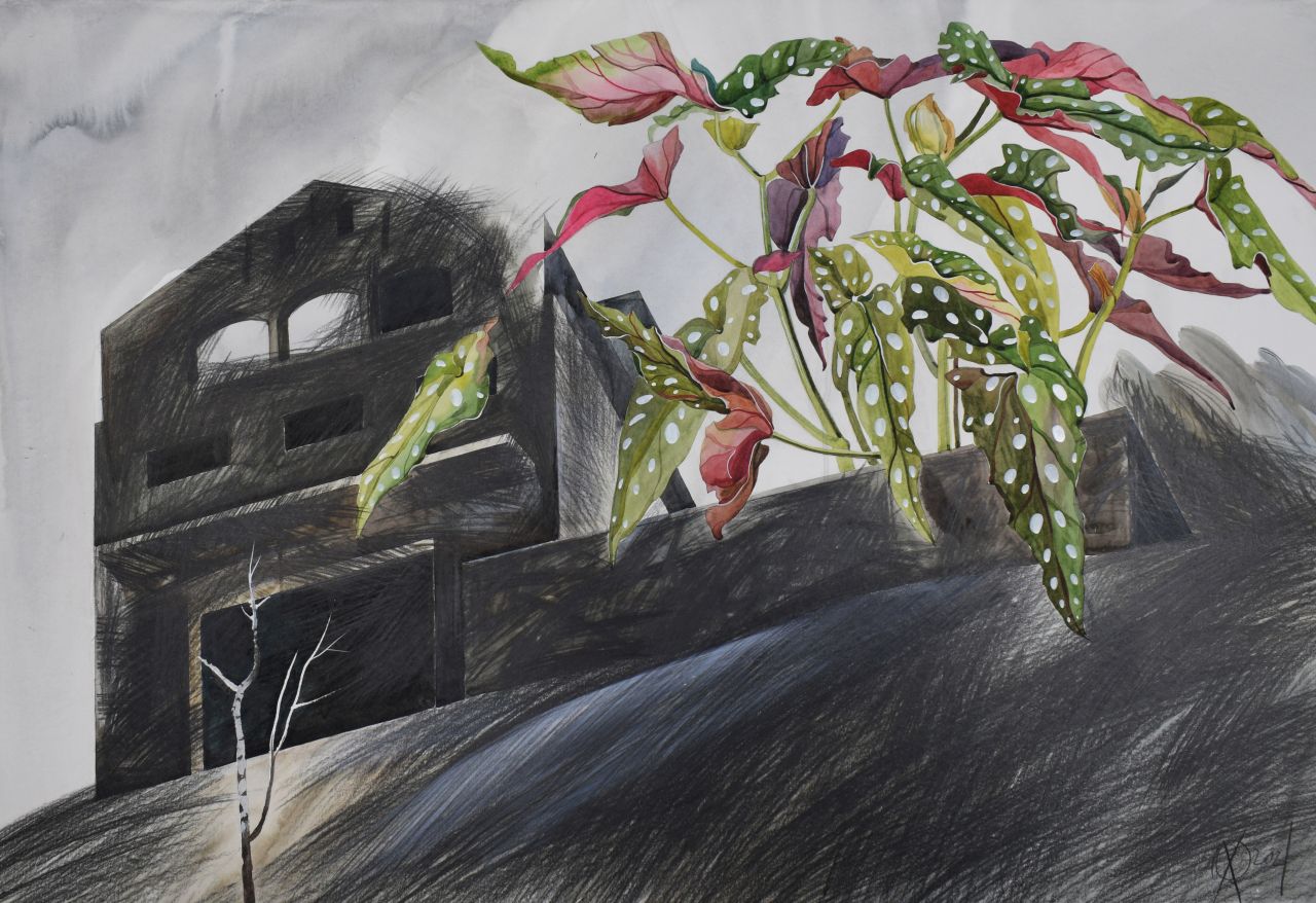 Detail aus der Ausstellung "Natur findet Stadt"